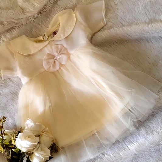 Girls Elegant Cream Party Tulle Dress with Bow - CottyLand